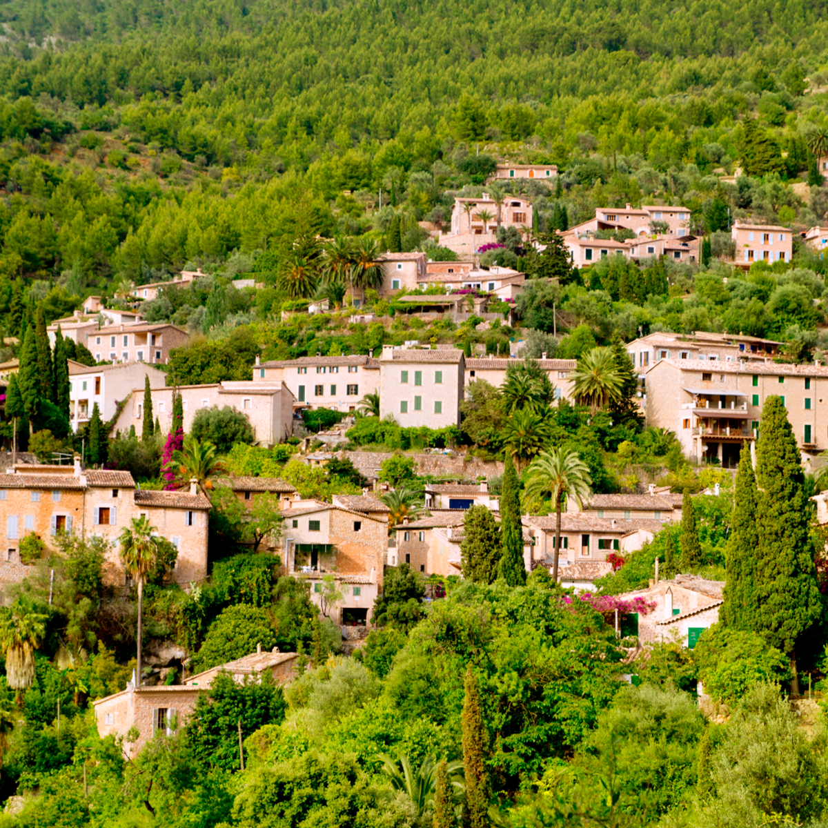 deia_mallorca02