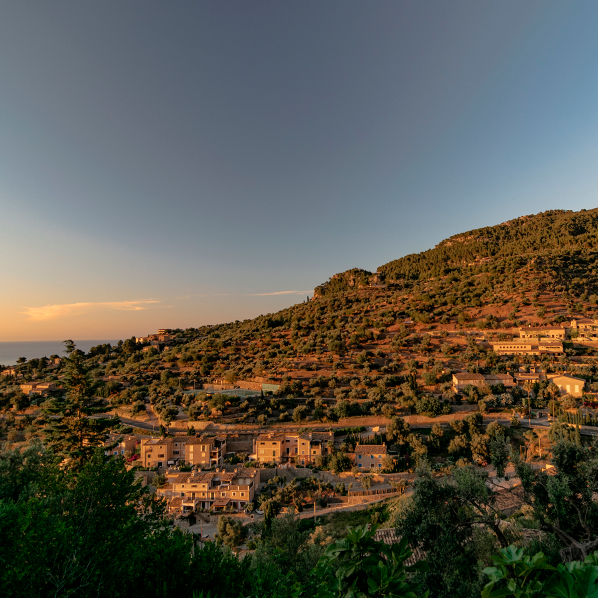 deia_mallorca_06