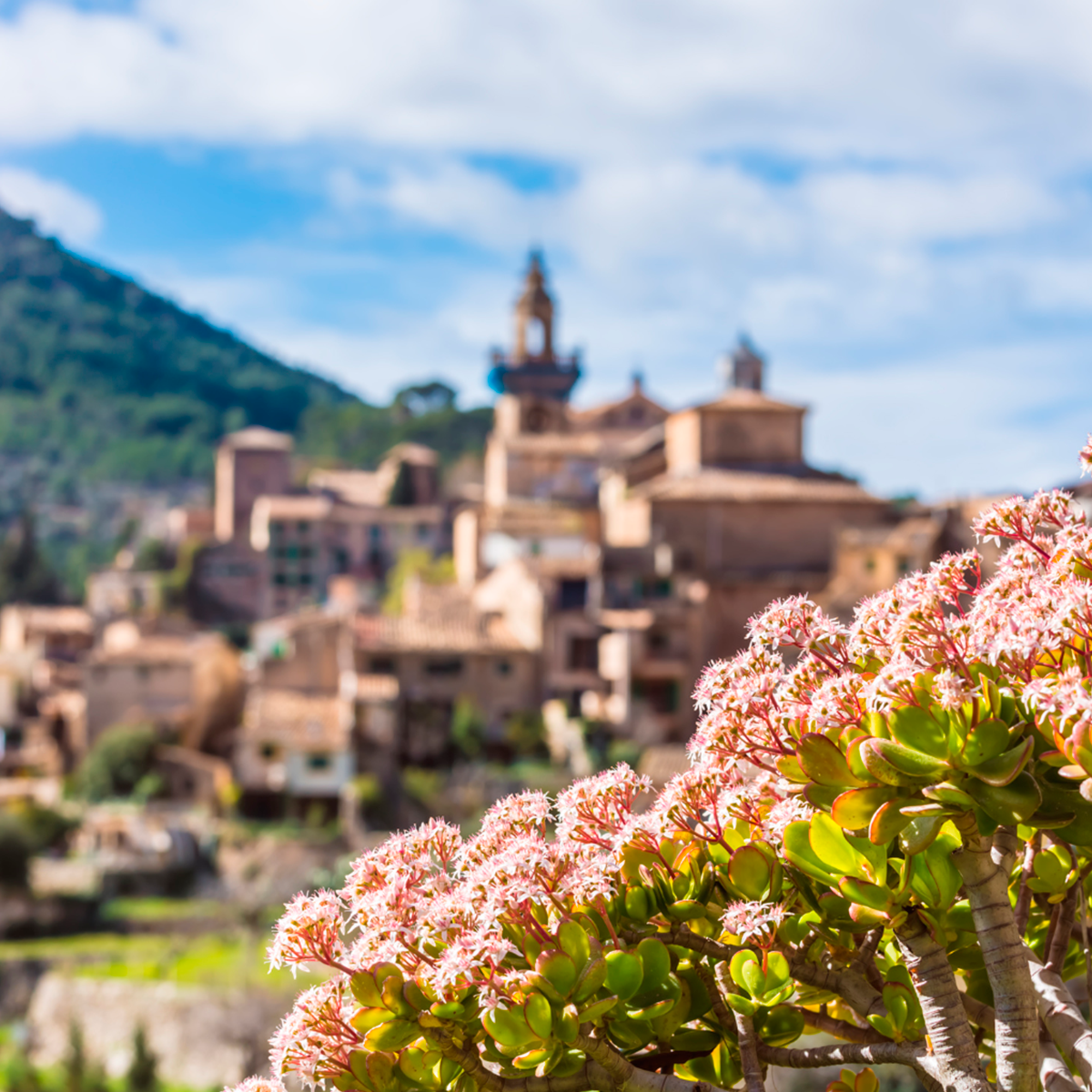valldemossa_mallorca04