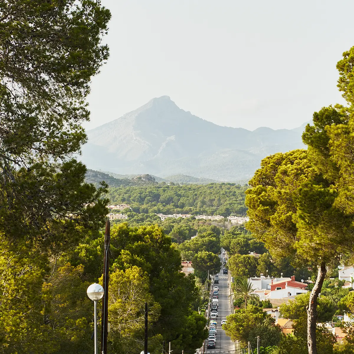 calvia_galatzo_01