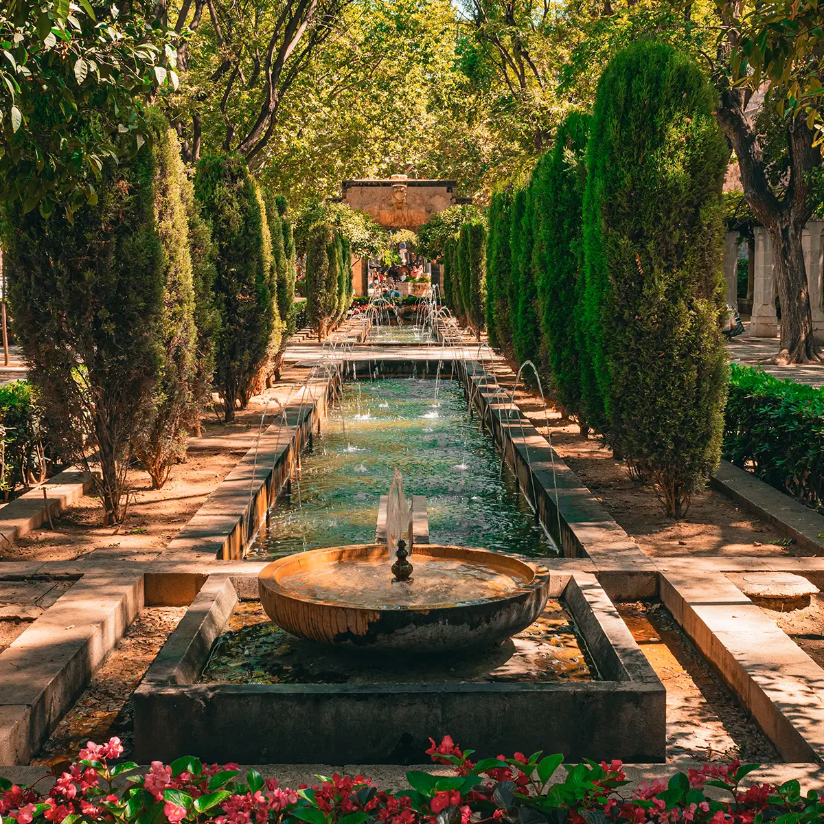 palma02