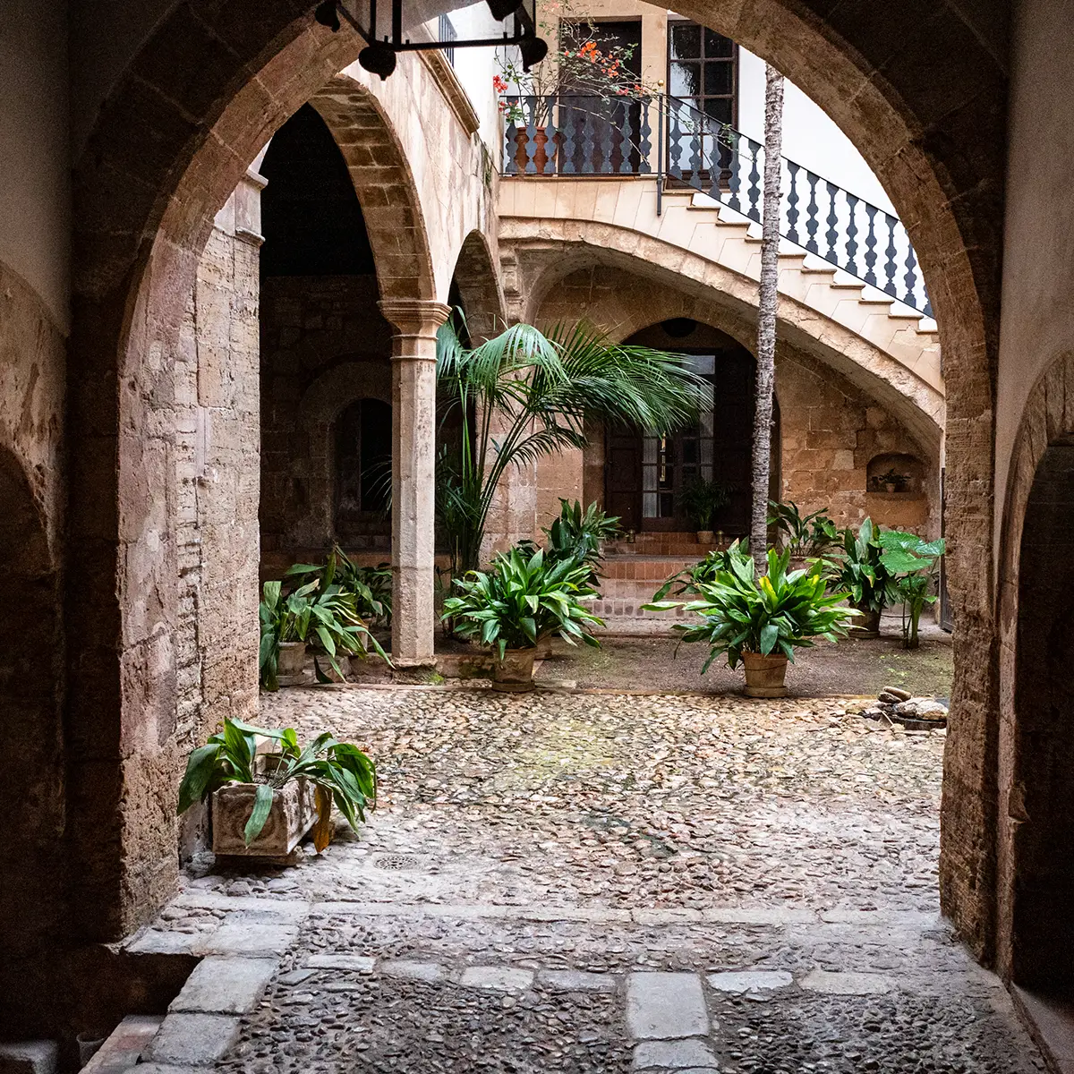 palma03