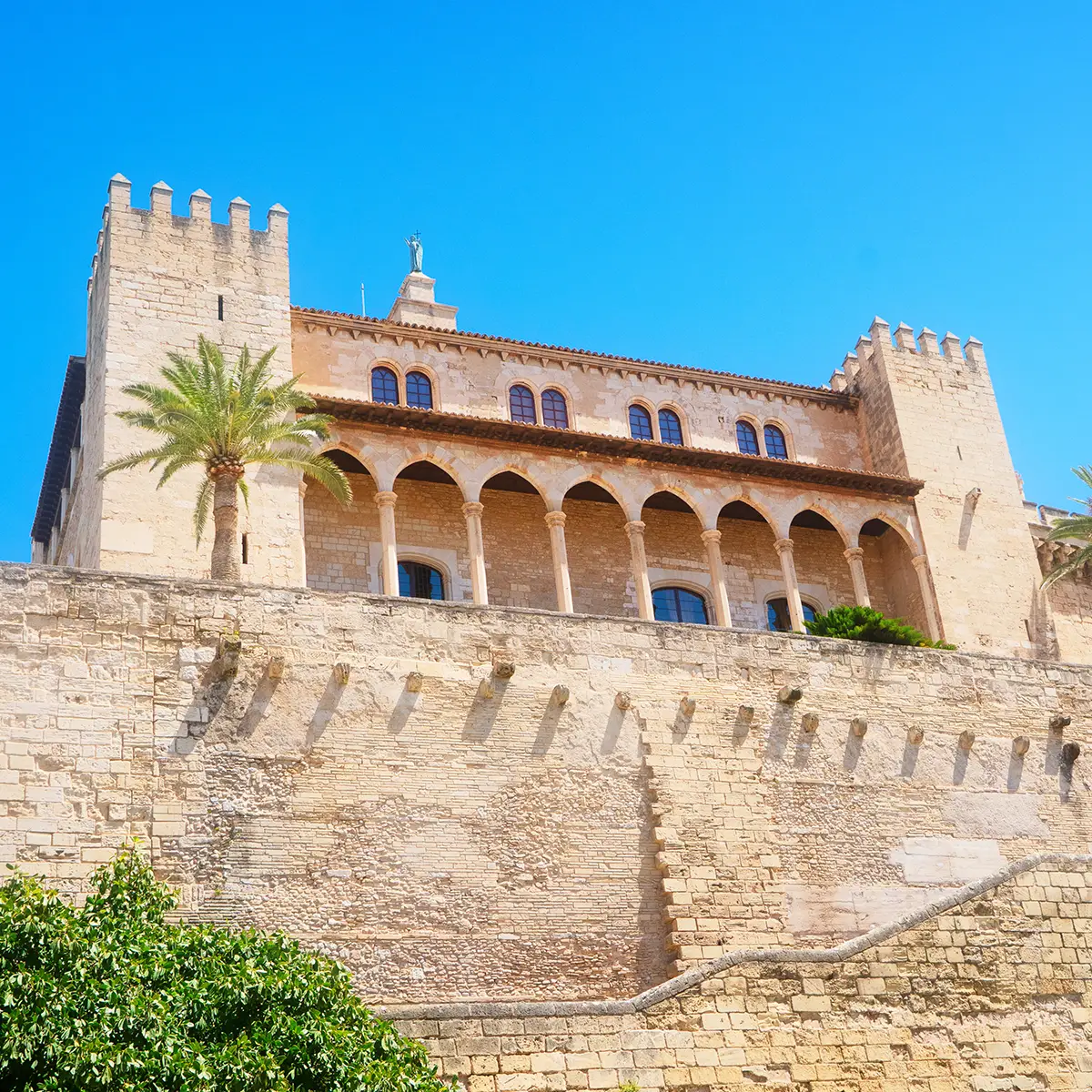 palma05
