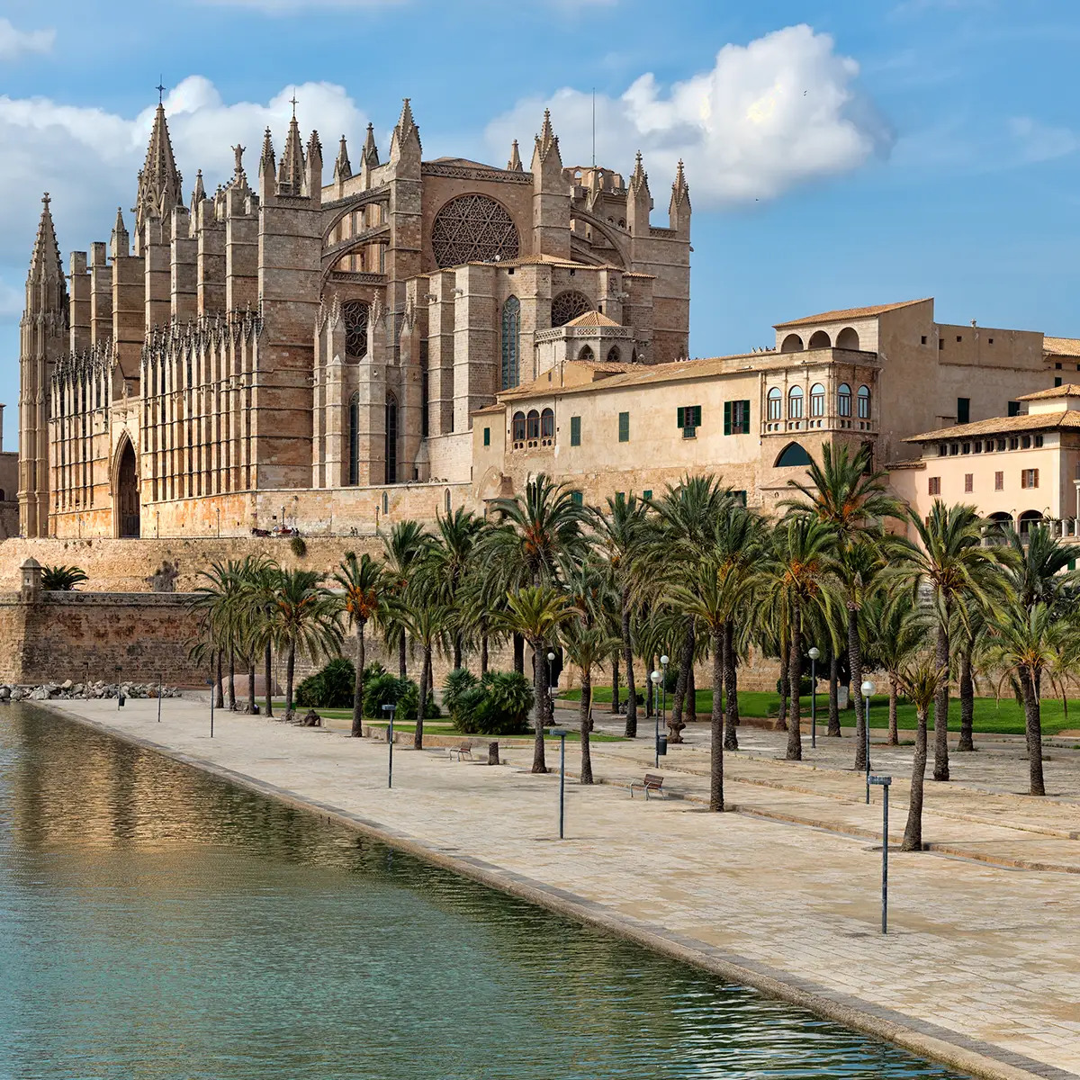 palma08