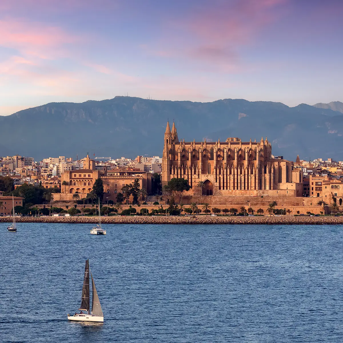 palma09