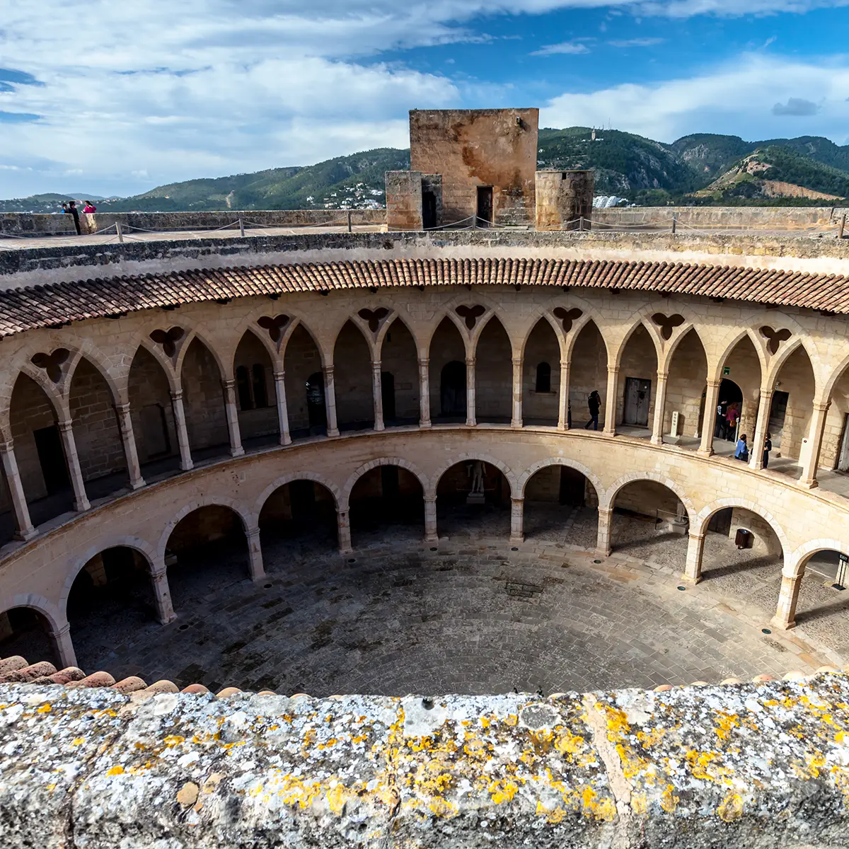 palma10