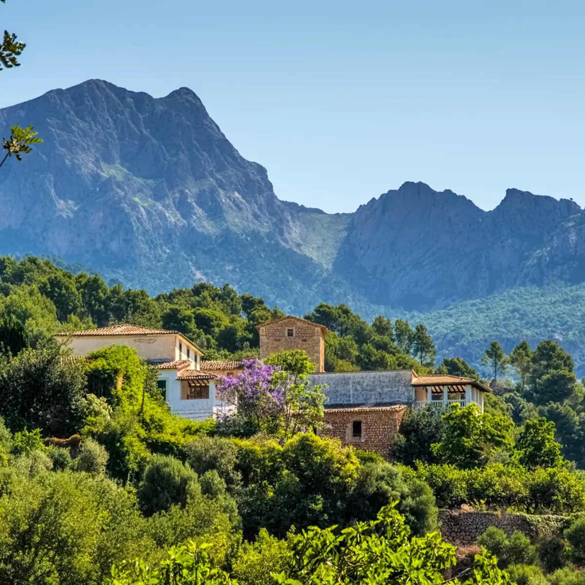 soller03